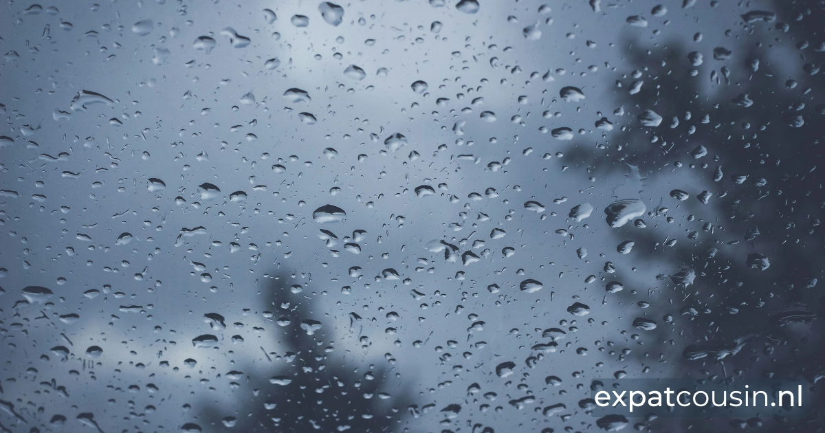 Rain drops on a window blurring trees in the background.